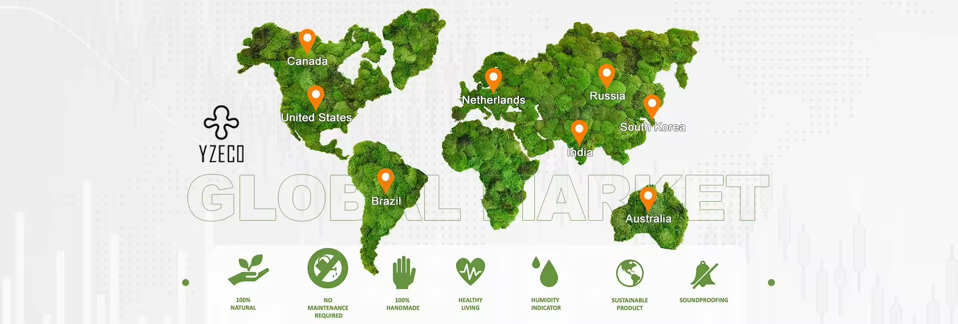 quality Natural Preserved Moss factory