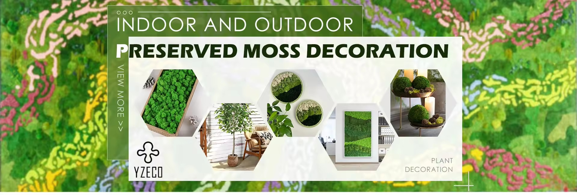 quality Natural Preserved Moss factory