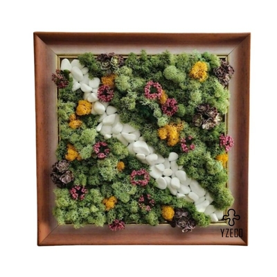 quality Real Preserved Moss Wall Art Frame for Garden Decor No Maintenance and Natural Beauty factory